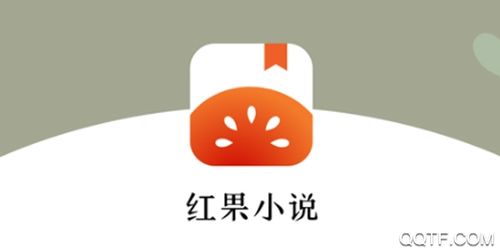 红果追书小说安卓版游戏截图