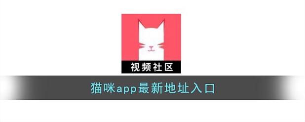 猫咪社区版