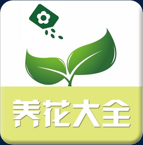 农村花园种花赚钱缩略图