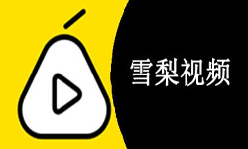 雪梨视频游戏截图