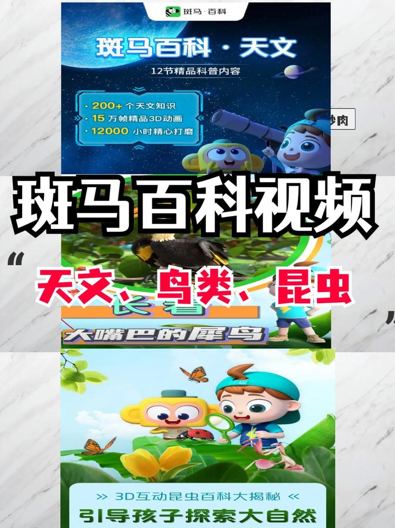 斑马网