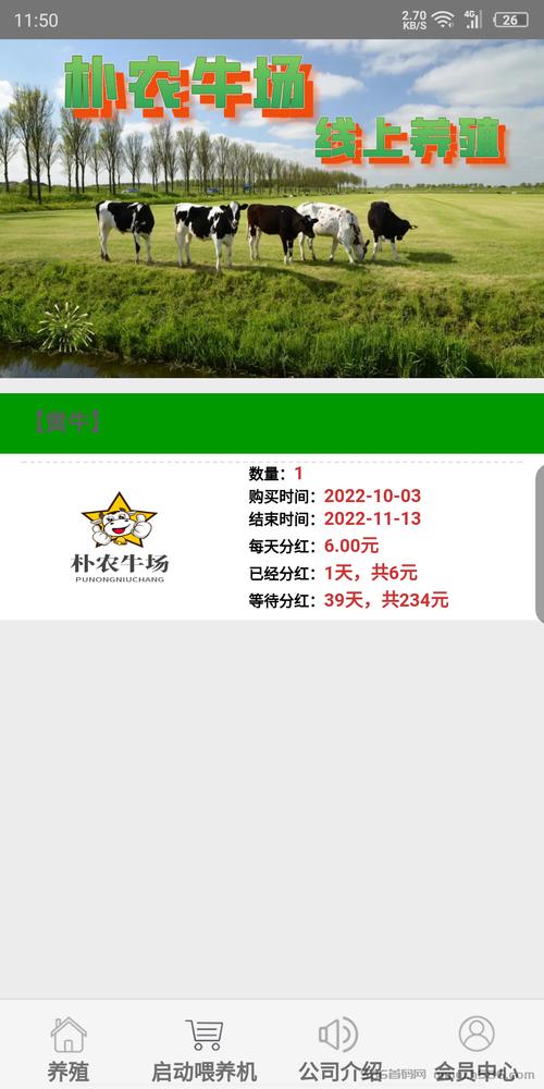 朴农牛场