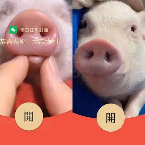 我养猪特牛红包版v1.0.0游戏截图
