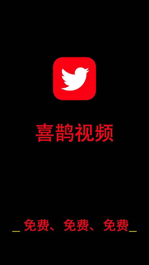 喜鹊短视频