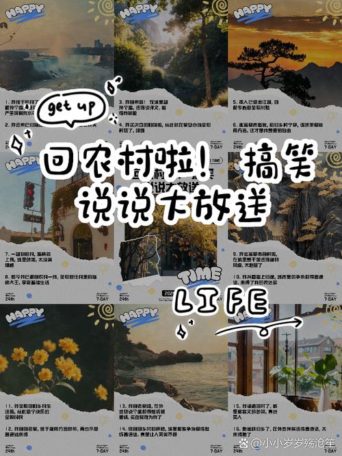 主角回农村前到日本去的小说