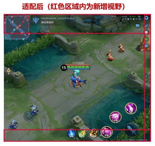 王者荣耀全图视野辅助器v1.0游戏截图