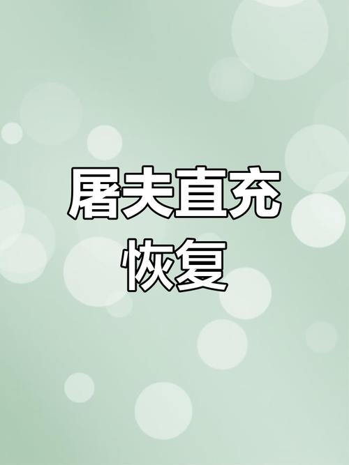 屠夫直充(修复版)2023缩略图