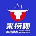 快来捞游戏截图