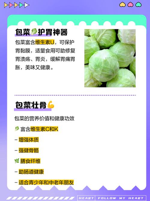 包菜资讯v1.0游戏截图