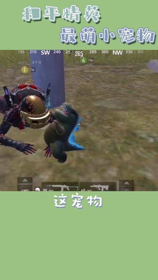 pubg独角鲸国体v1.0.0