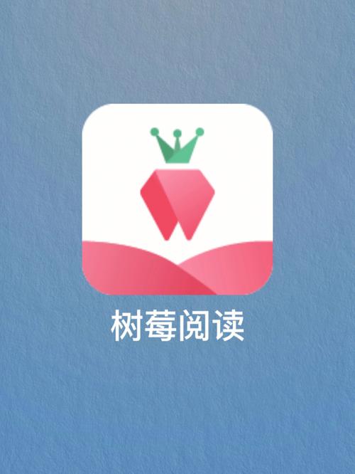 树莓阅读1.3.2.1游戏截图