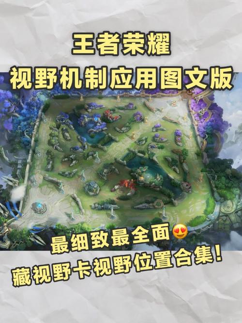 王者荣耀全图视野脚本