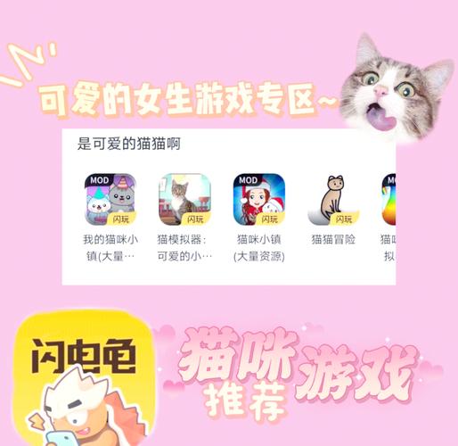养猫达人