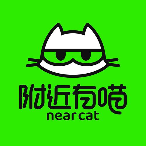 养猫达人游戏截图
