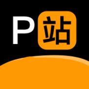 P站APP下载最新版游戏截图