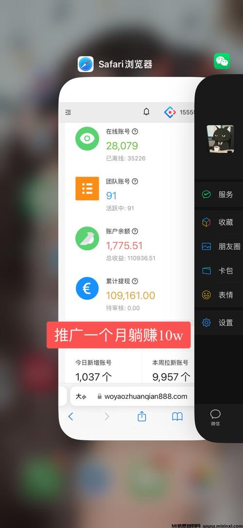 API挂机赚钱平台v1.0.0缩略图