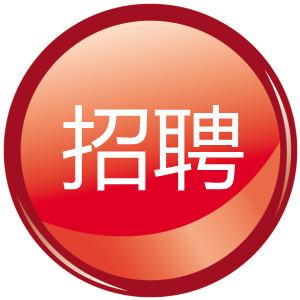 电池招聘appv9.6.8游戏截图