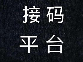接码验证码接收平台缩略图