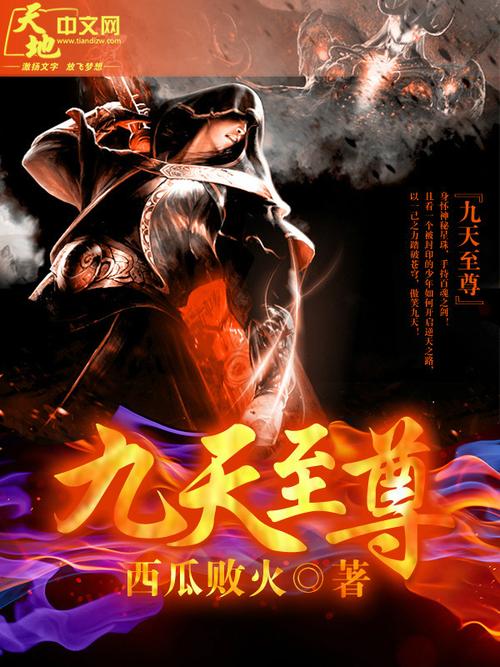 九天全本免费小说游戏截图