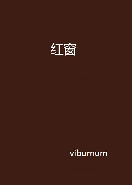 红窗小说