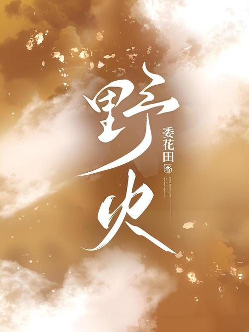 野火小说app