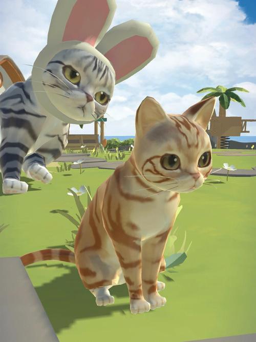 一起养猫咪官网版