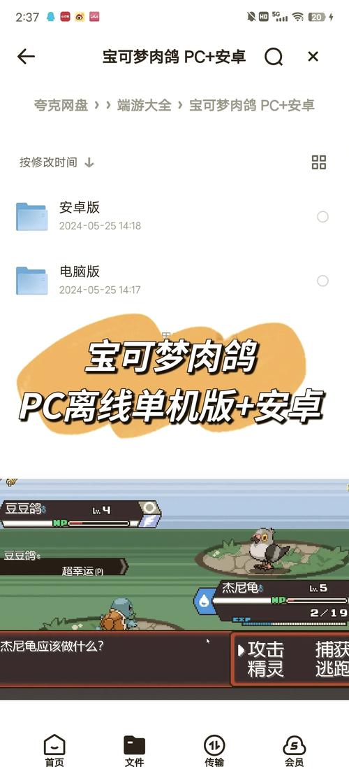 小鸽子辅助