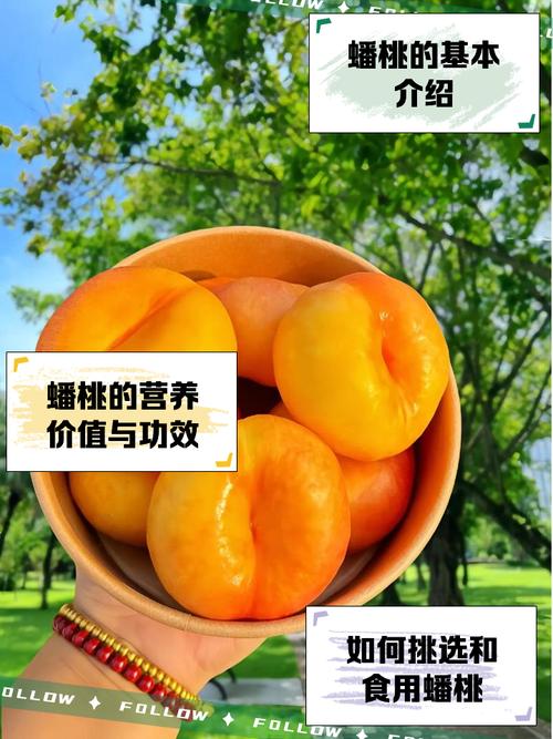自瞄透视辅助器免费版和平精英2024黄化版游戏截图