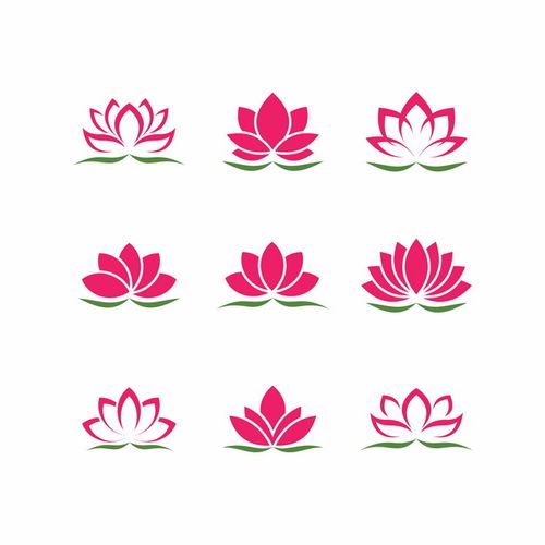 荷花赚缩略图