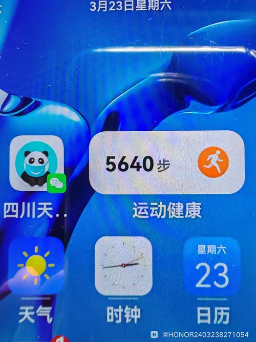 荣耀步数赚金版