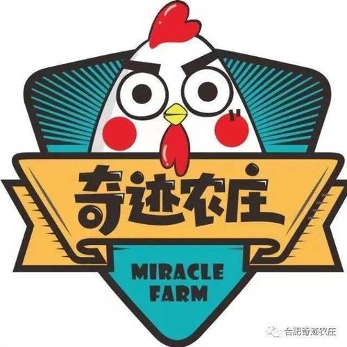 奇迹养鸡场游戏截图