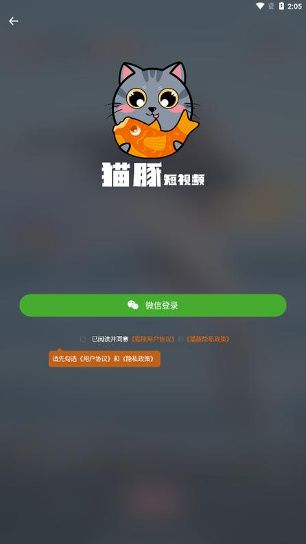 猫豚(短视频)