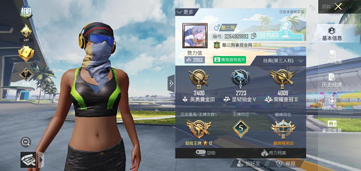 酷二狗和平精英同款美化包