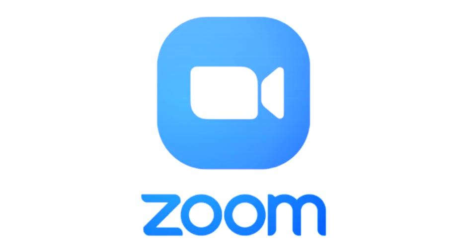 Zoom测试版游戏截图