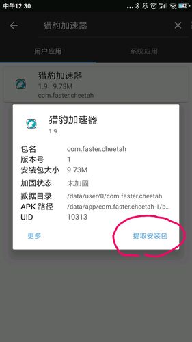 TESTFLIGHT猎豹加速器(猎豹)