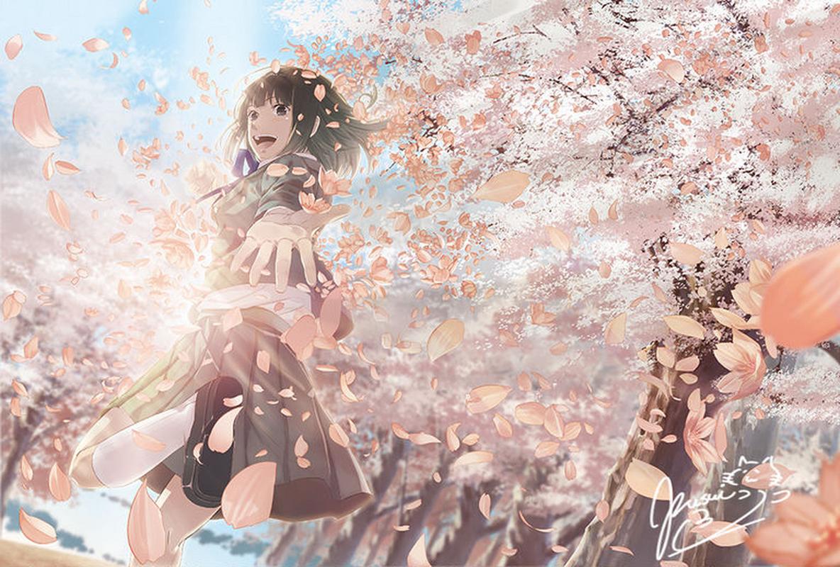 花伴动漫