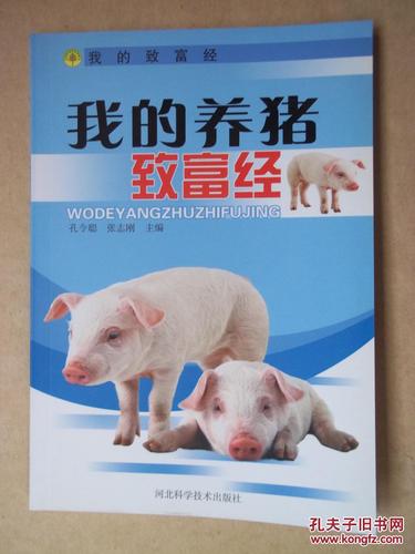 致富经养猪极速版游戏截图