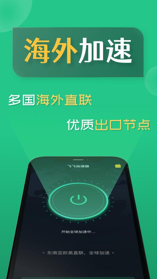 飞鸟加速器手机正版