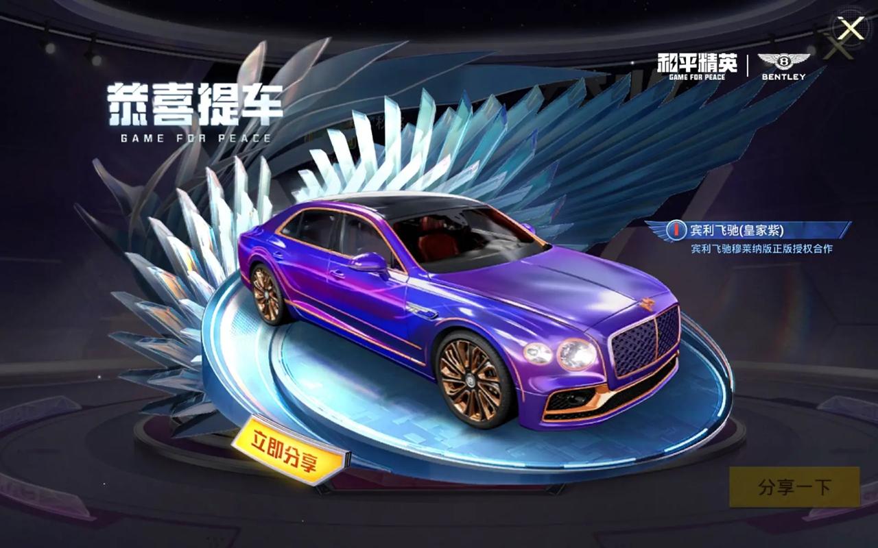 和平精英宾利辅助提卡游戏截图