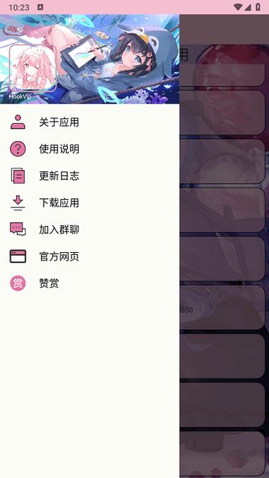 viphook隐藏功能