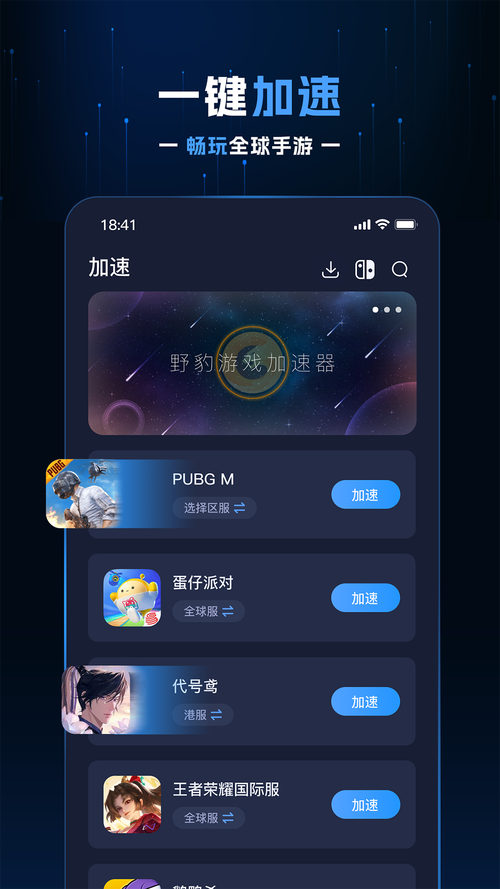 野豹游戏加速器官网版