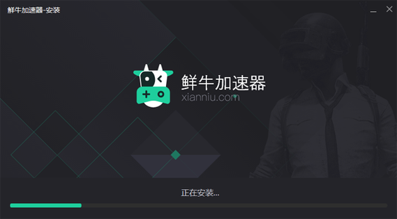 鲜牛加速器官方版
