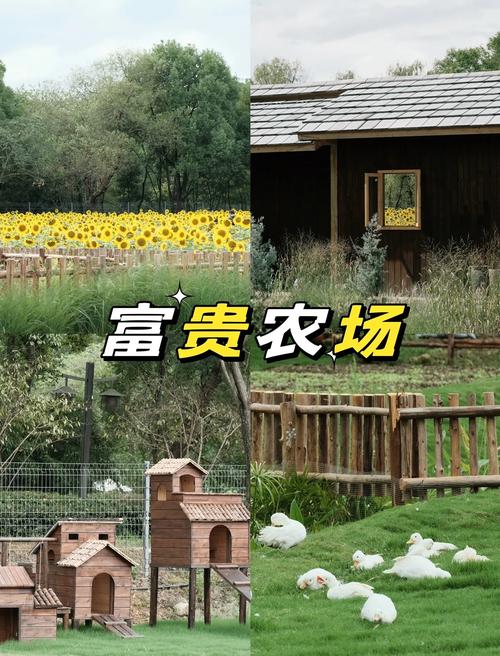 富贵农场极速版游戏截图