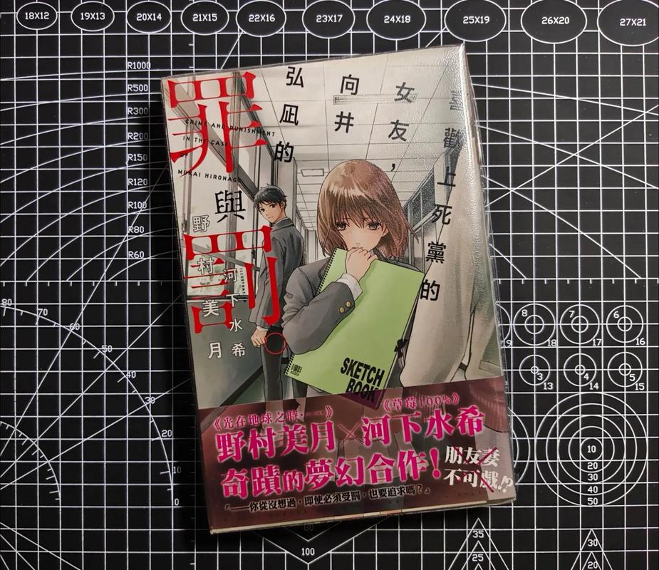 神凑轻小说游戏截图