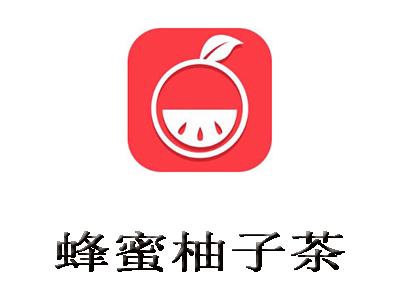 蜂蜜柚子辅助器游戏截图