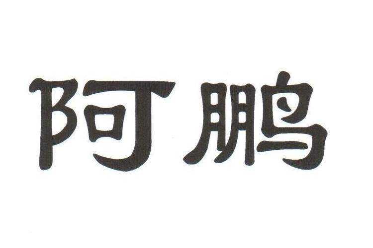 阿鹏激活码游戏截图