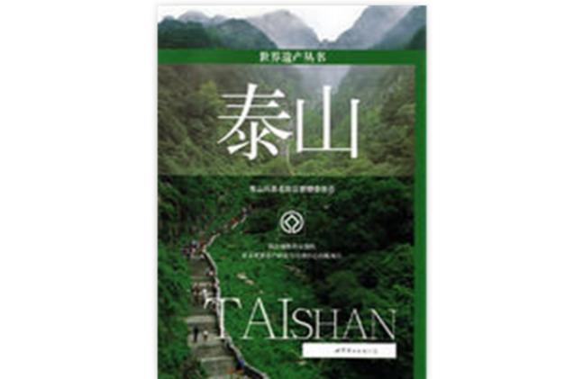 泰山小说破解版游戏截图