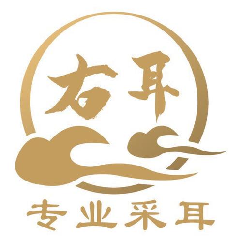 右耳APP绿色版游戏截图