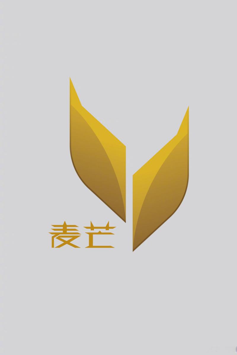 麦芒资讯V1.1游戏截图
