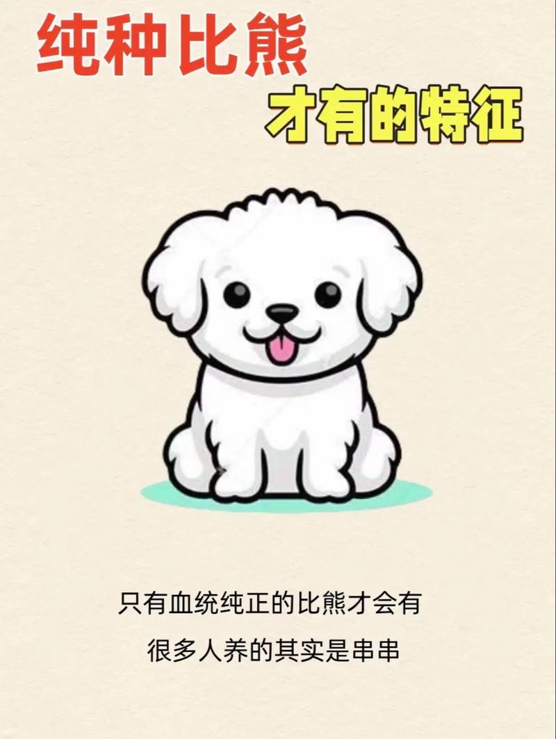 比熊漫画官方正版